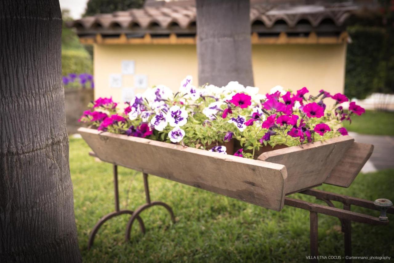 Casa vacanze ETNA COCUS Santa Venerina Esterno foto
